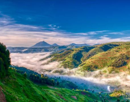 Travel